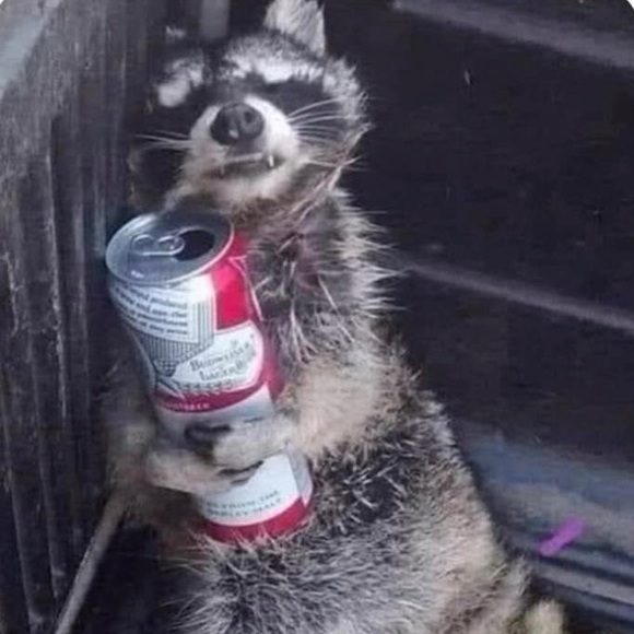 Meet your Posher, Julie - Picture 1 of 1